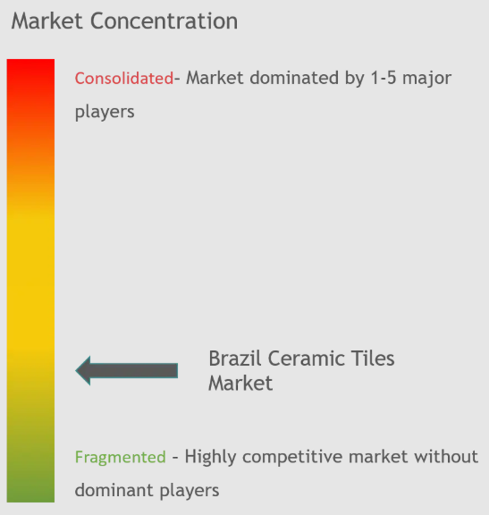 Brazil Ceramic Tiles Market Concentration